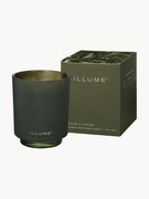 Vonná sviečka (Fir Needles, Cinnamon & Oak Moss)