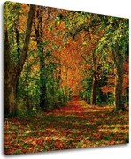 Obraz na stenu STROMY ST033E12