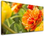 Obraz na stenu KVETY | rôzne rozmery