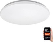 Rabalux 71035 - LED RGB Stmievateľné stropné svietidlo CERRIGEN LED/24W/230V