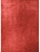 Koberec Shaggy Harmony Mono 1,4/1,9 PC00A HRR77