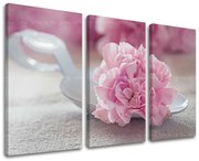 Obraz na stenu KVETY | rôzne rozmery