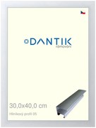 DANTIK rám na obraz 30x40 | ALU Stříbrná matná (Plexi Čiré)