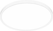 Stropné LED svietidlo Maq, 1x LED 40w, 3000-6500k, w