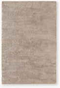 Huňatý koberec's vysokým vlasom Leighton