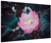 Obraz ružovej kvetiny (90x60 cm)