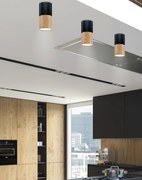 Candellux - Stropná lampa, čierna (2282862)