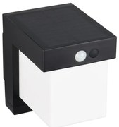 LED nástenné solárne vonkajšie svietidlo (výška 14 cm) Colombo – Trio