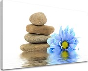 Obraz na stenu FENG SHUI FS033E11