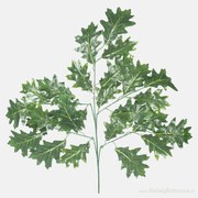 Umelý list- Dub 75cm