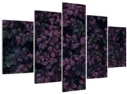 Obraz tmavočervených lístočkov (150x105 cm)