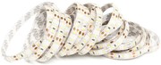 ECOLIGHT LED pásik - SMD 2835 - 5 m - 60 LED/m - 10,8 W/m - 24V - IP65 - neutrálna biela