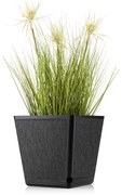 PLASTOVÝ KVETINÁČ PILEA TX 24X24 CM ČIERNA