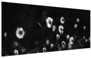 Obraz - Lúka s cottongrass N⁰1 (120x50 cm)