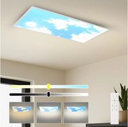 BRILAGI - LED stmievateľné stropné svietidlo SLIMFRAME SKY LED/80W/230V 120x60 cm + diaľkové ovládanie