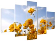 Obraz poľa s jasne žltými kvetmi (150x105 cm)
