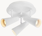 Stropné kovové svietidlo Crest