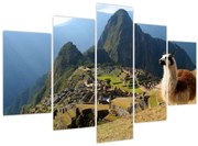 Obrázok - Lama a Machu Picchu (150x105 cm)
