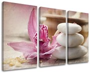 Obraz na stenu FENG SHUI | rôzne rozmery