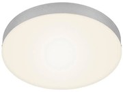 Briloner 7066-014 - LED Stropné svietidlo FLAME LED/21W/230V 3000K pr. 28,7 cm