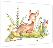 Obraz - Malý srnček (70x50 cm)