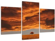 Obraz mračien (90x60 cm)