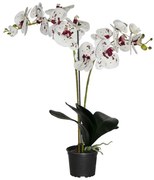 Umelá prémiová orchidea 18 kvetov 80 cm
