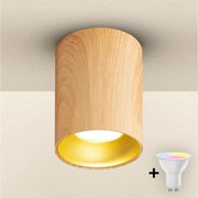 Brilagi - LED RGBW stmievateľné bodové svietidlo TRINE 1xGU10/30W/230V dubový dekor