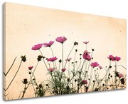 Obraz na stenu KVETY | rôzne rozmery