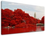 Obraz na stenu MESTO | rôzne rozmery