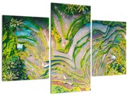 Obraz ryžových polí z vtáčej perspektívy (90x60 cm)