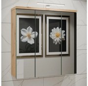 Nástenná kúpeľňová skrinka so zrkadlom VENOM zelená/dub artisan