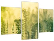 Obraz - Detail jarnej hmlistej prírody (90x60 cm)