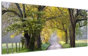 Obraz - Smoky Mountains, Gatlinburg, USA (120x50 cm)