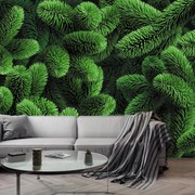 Fototapeta - Vetvičky ihličnanu (147x102 cm)