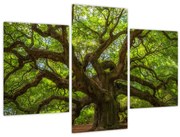 Obraz - Zelený strom (90x60 cm)