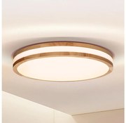 Brilagi - LED Stropné svietidlo MOLINA LED/24W/230V dub BG1623