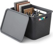 Rotho Úložný box s vekom a s držadlami BRISEN 16l, 36x26,2x21cm, čierny
