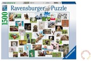 Ravensburger puzzle 1500 dielikov – Zábavné zvieratá v koláži