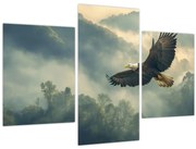 Obraz - Letiaci orol (90x60 cm)