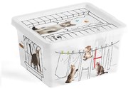 KIS C Box Style Pets Collection XXS 2l