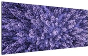 Obraz zasnežených stromov (120x50 cm)