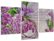 Obraz - Orgován (90x60 cm)