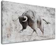 Obraz na plátne BÝK | rôzne rozmery