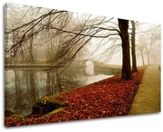 Obraz na stenu STROMY | rôzne rozmery