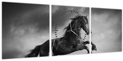 Obraz - Kôň čiernobiely (s hodinami) (90x30 cm)