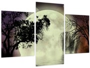 Obraz - Spln nad hladinou (90x60 cm)