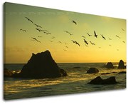 Obraz na stenu ZÁPAD SLNKA | rôzne rozmery