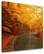 Obraz na stenu STROMY | rôzne rozmery