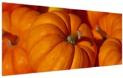 Obraz - Veľké tekvice (120x50 cm)